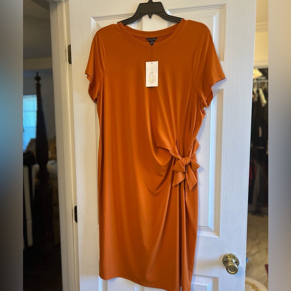 The Limited Bold Orange stretch Jersey Dress